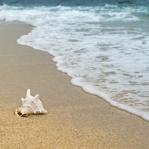 Spiagge Salento Spiagge Salento